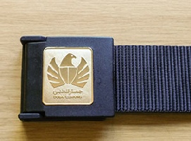 Dubai Customs Emblem